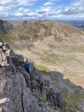 Dan-Kent-Pygmy-ridge