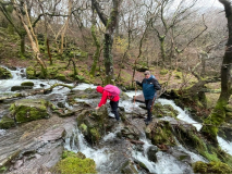 1b09e863-9e4a-42a4-b966-198c3e4e3adf