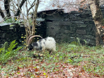 49a89f92-0190-4201-a778-755c47359930