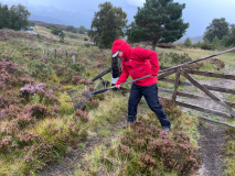 Haggis-catching