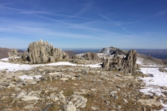 image10