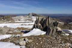 image11