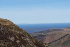 image6