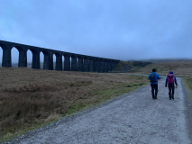 2b3a0788-829b-4013-8ca4-ee814d0f931e